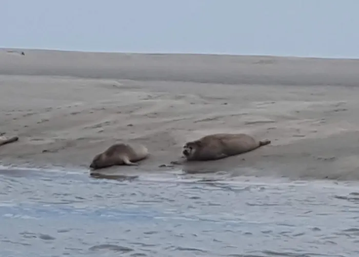 La Faisane Holiday home